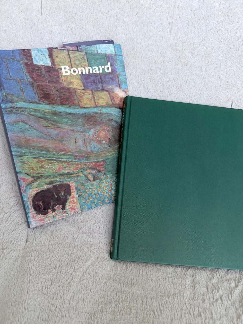 Pierre Bonnard by Sarah Whitfield & John Elderfield HC 9780810940215